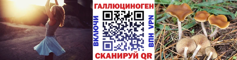 Галлюциногенные грибы Cubensis Аркадак